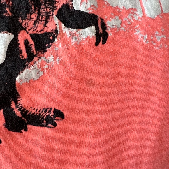 Cat & Jack Blue Dinosaur Tee and Arizona Orange T-Rex Long Sleeve Mini Bundle 🦖 - Picture 5 of 12